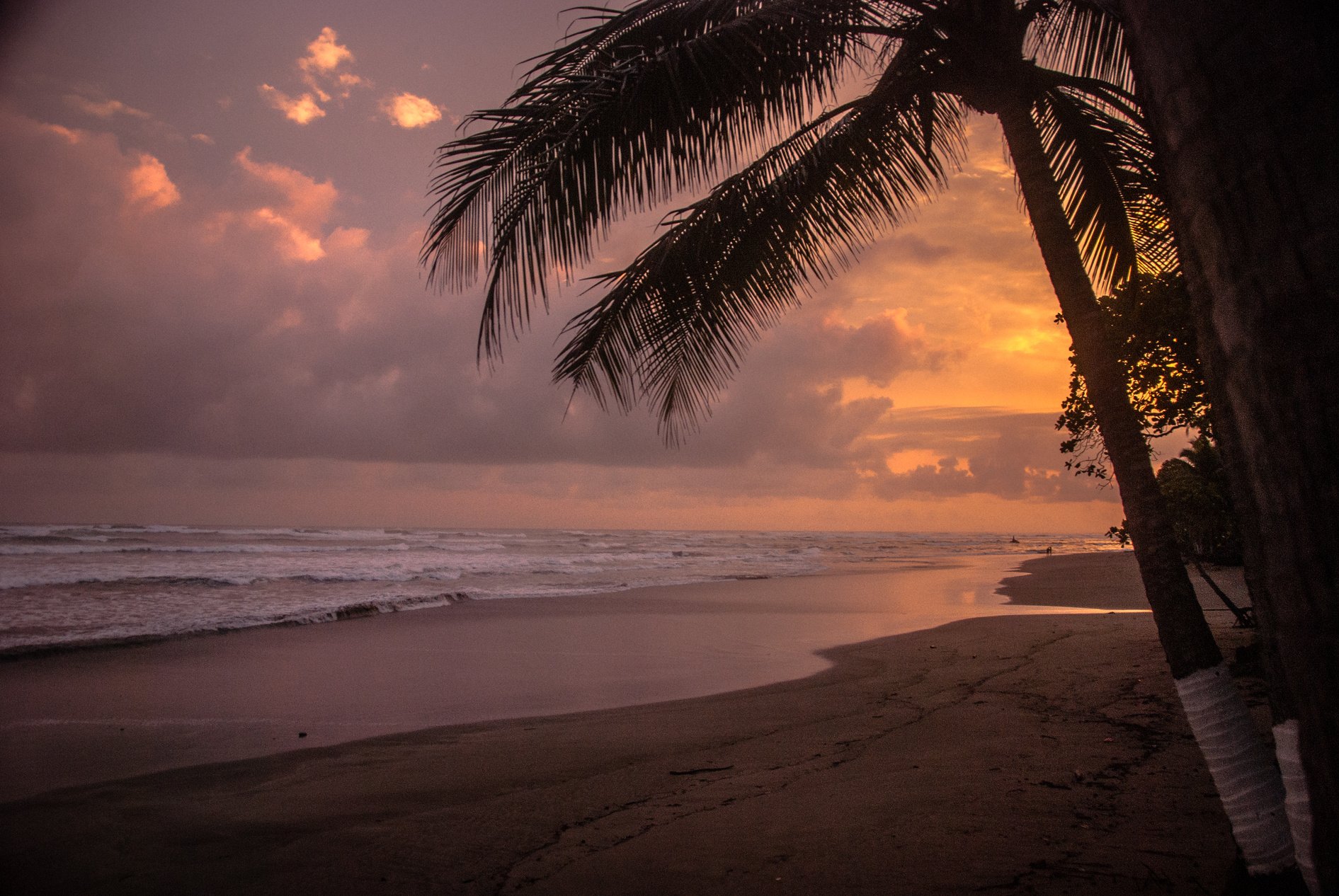 Beach Sunset